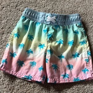 Cat & Jack Pastel Gradient Palm-Print Swim Trunks - Teal, Pink, Yellow